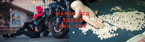 стафф Алзамай