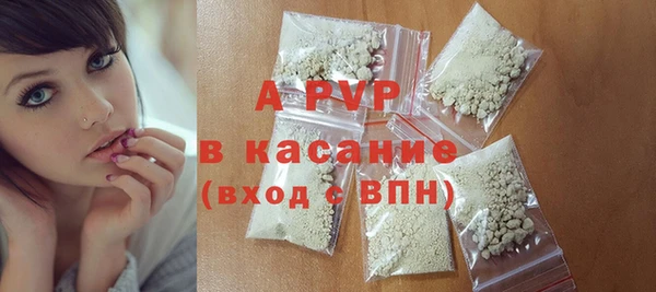 стафф Алзамай