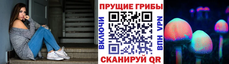 KRAKEN tor  наркотики  Михайловск  Галлюциногенные грибы прущие грибы 